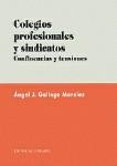COLEGIOS PROFESIONALES Y SINDICATOS